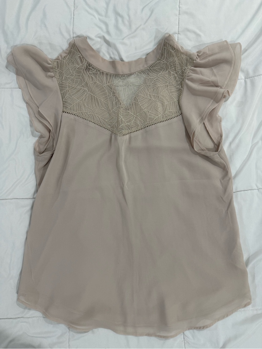 H&M Sheer Butterfly Top
